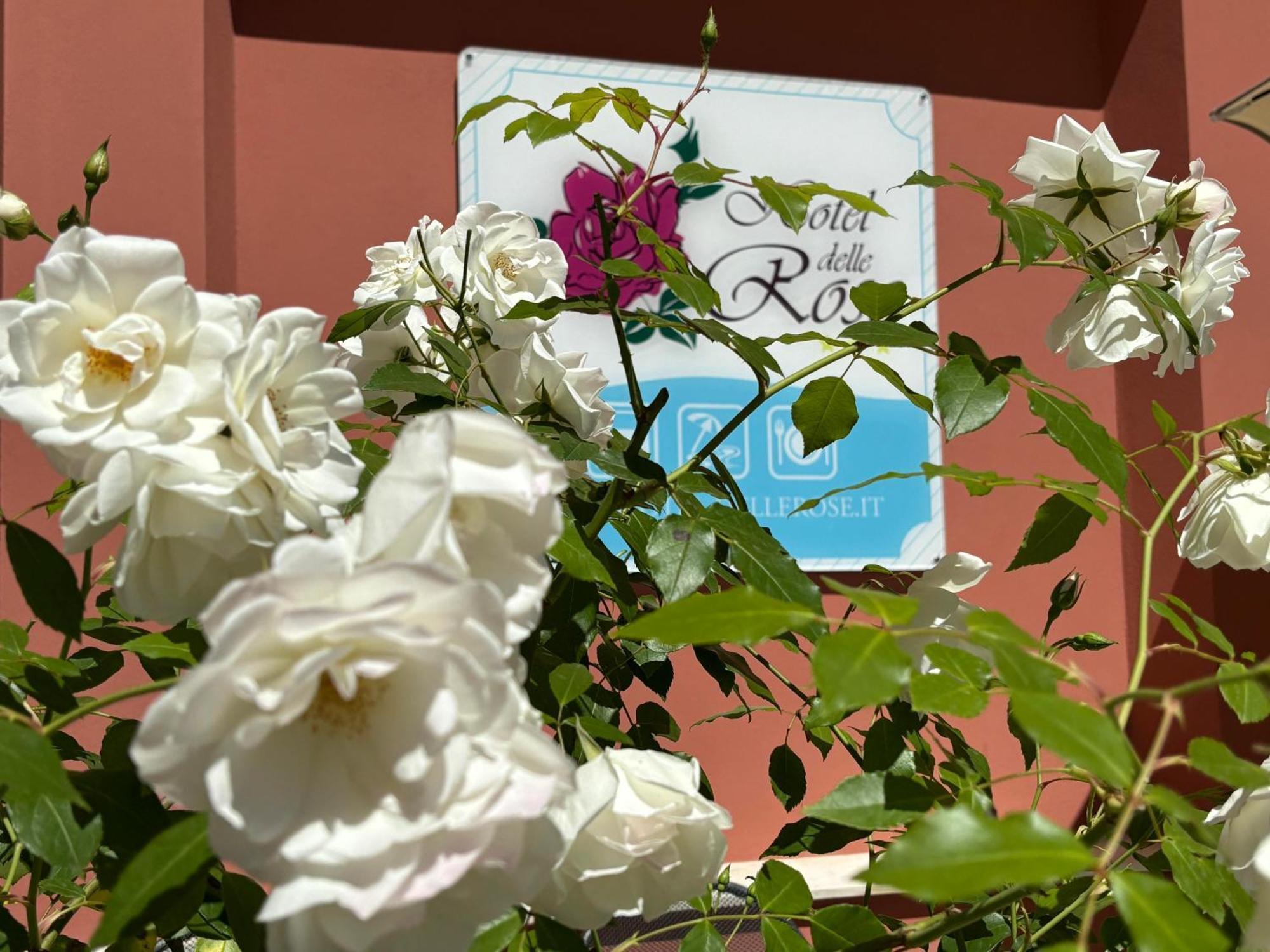 Hotel Delle Rose Сан Бартоломео ал Маре Екстериор снимка