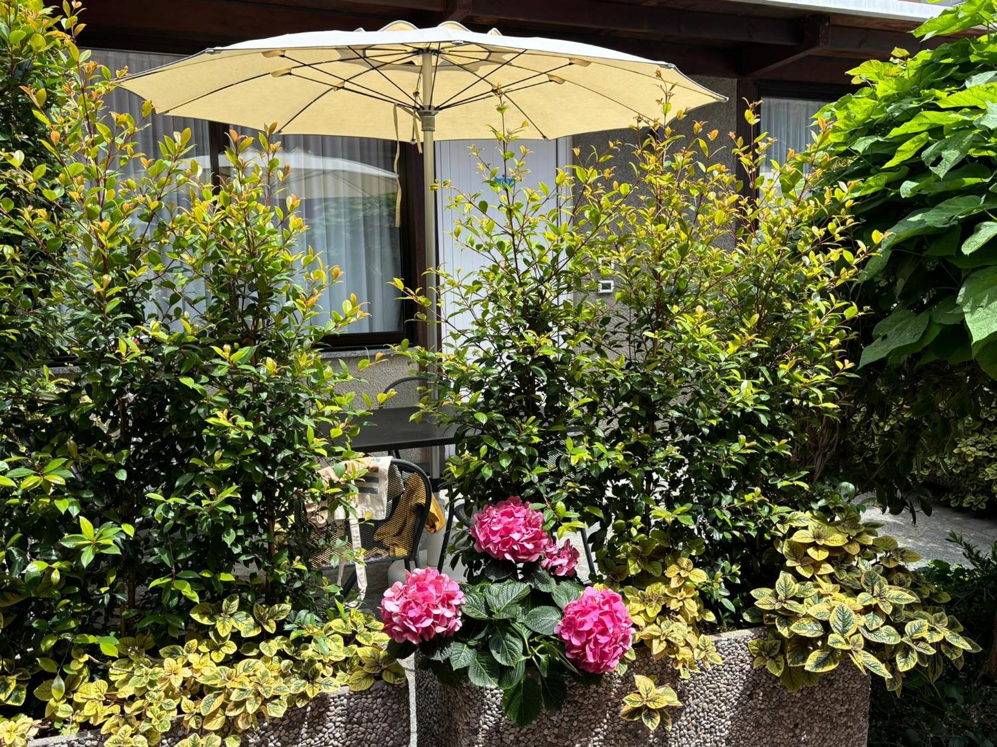 Hotel Delle Rose Сан Бартоломео ал Маре Екстериор снимка